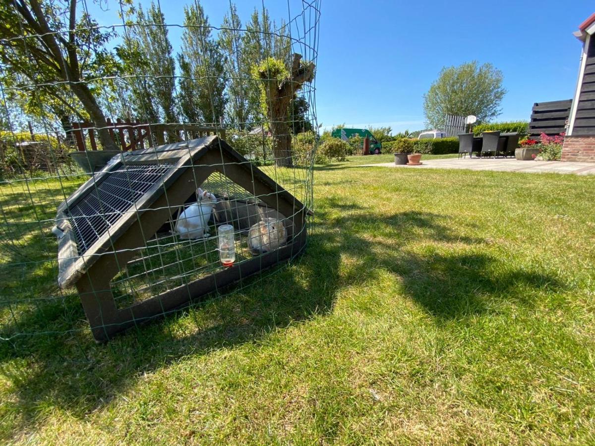 Appartement 5 Vrouwenpolder Kültér fotó